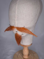 Spitzbart Katze